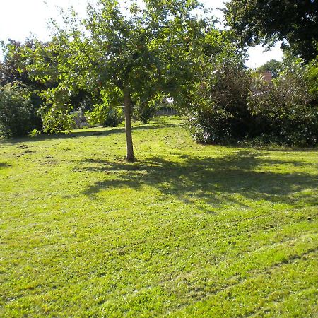 Appartement A L'Ange Climbach Kültér fotó
